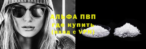 PSILOCYBIN Белокуриха