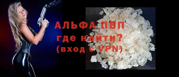индика Белоозёрский