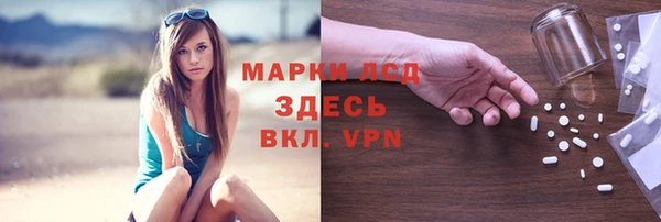 PSILOCYBIN Белокуриха