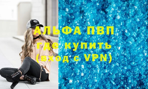 индика Белоозёрский