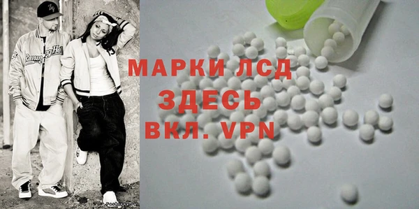 PSILOCYBIN Белокуриха