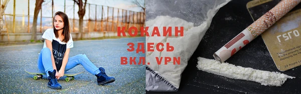 PSILOCYBIN Белокуриха